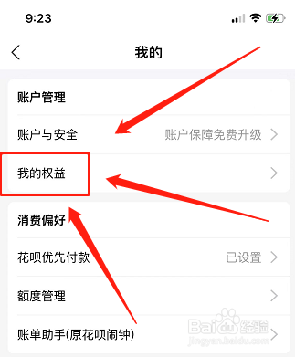 支付宝如何查看花呗金详情