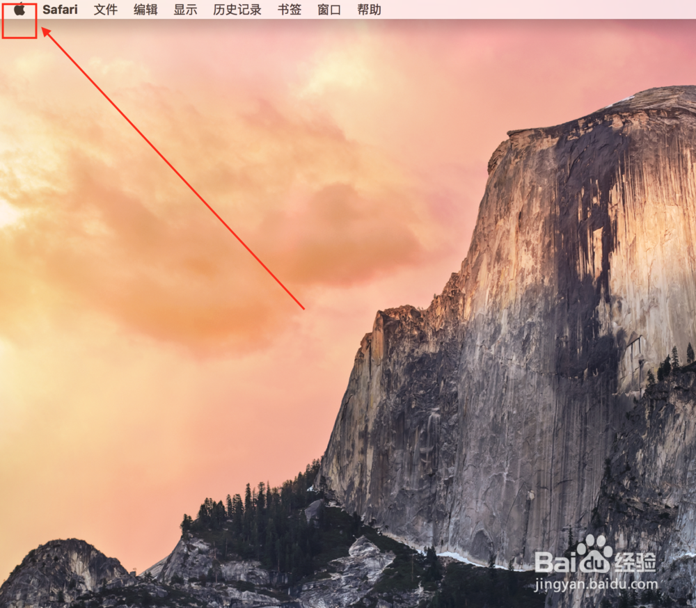 苹果电脑怎么打开任务管理器