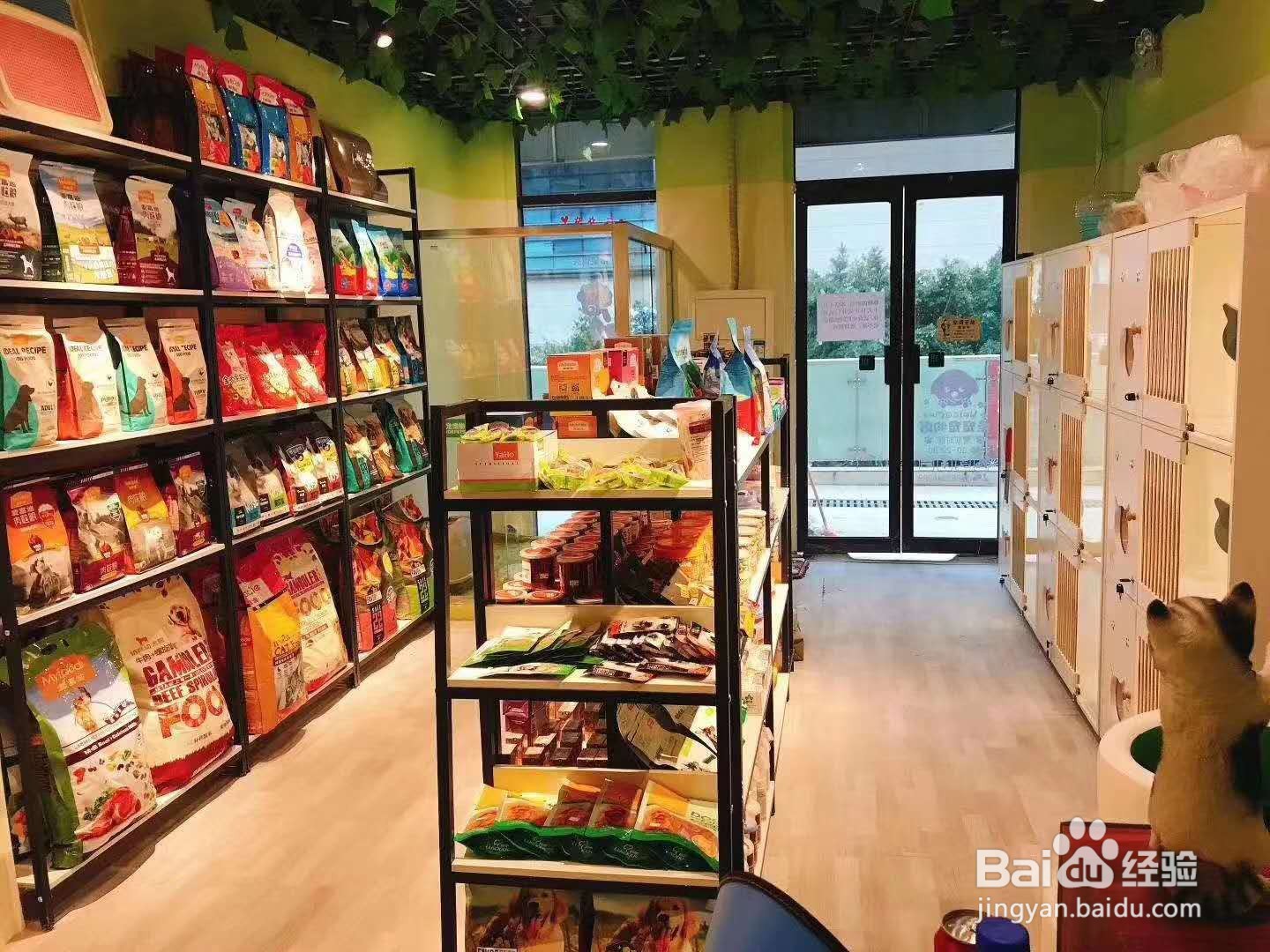 开宠物店前期需要什么成本