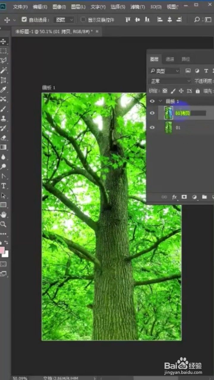 如何将春天的树变成秋天的树?