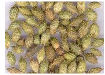 治疗鼻炎非常有效的方法——终于找到了