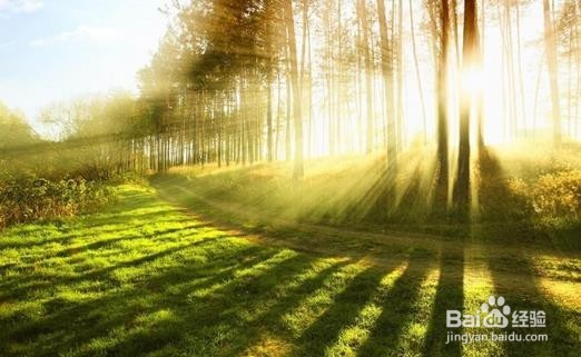 密集恐惧症的自我治疗方法及步骤