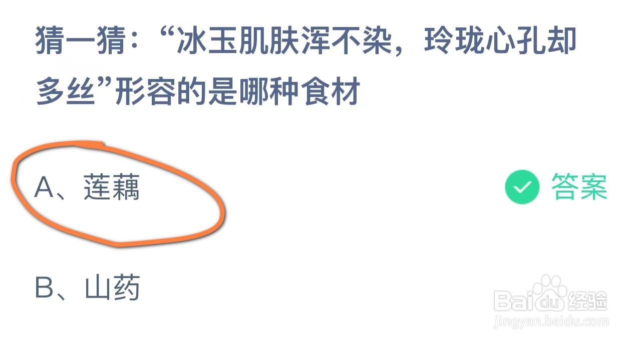 冰玉肌肤浑不染玲珑心孔却多丝形容哪种食材蚂蚁