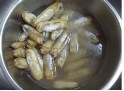 教你做美味的葱姜蛏子