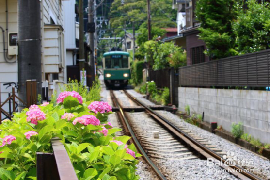 <b>日本东京郊区适合晴天约会的7个景点推荐</b>