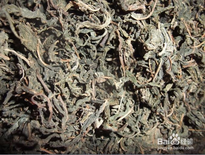 香椿芽的储存方法