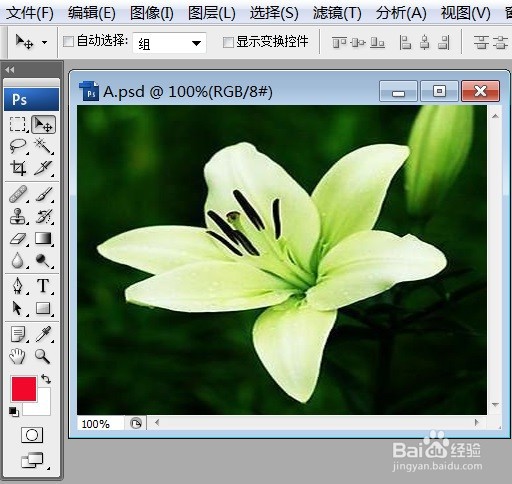 PS怎么让图片呈现粉笔和炭笔的效果