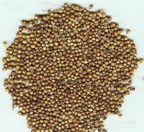 绿豆用来治疗疾病的食疗偏方