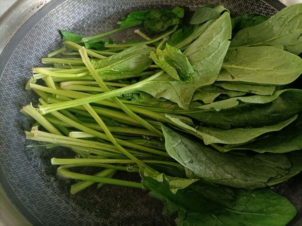 珍选捞汁拌菠菜