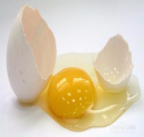 如何认知和辨别鸡蛋