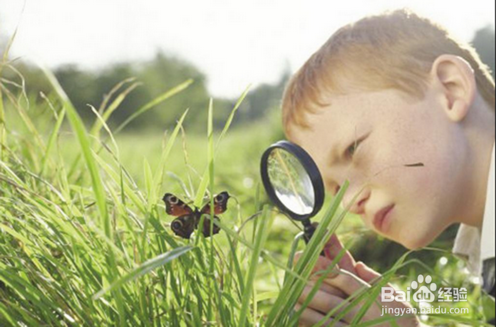 中学生如何提升自己写作水平