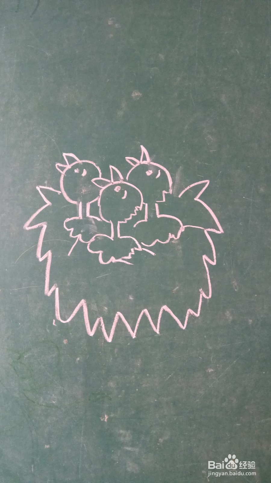 儿童简笔画待哺的小鸟的画法