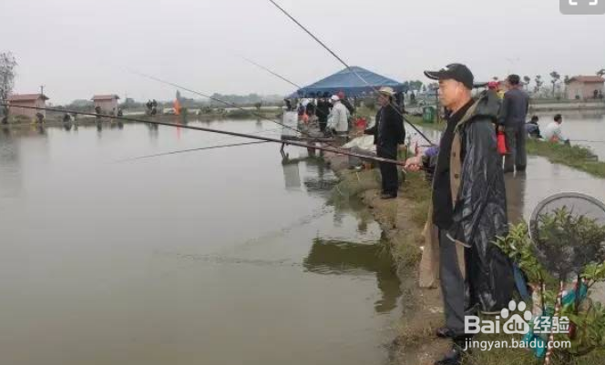 喜欢钓鱼的人可以培养出什么样的好性格