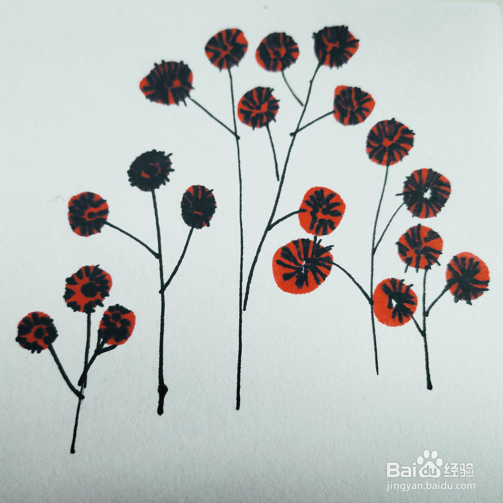 三岁孩子也能够学会的画小花简笔画的画法