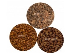 如何鉴别松子的开口方式