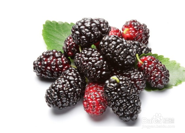 桑葚颜色手怎么去除