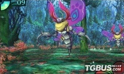 经典DS掌机游戏测评