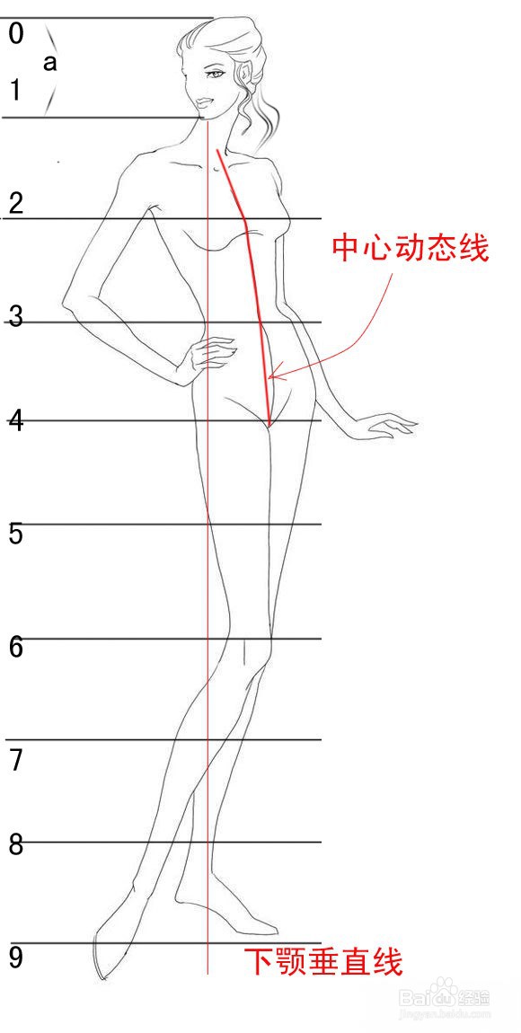 零基础自学服装设计（之一）---如何画人体