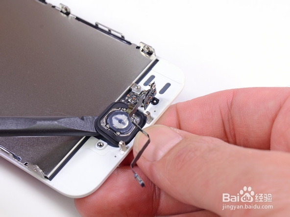 iPhone 5s拆解图