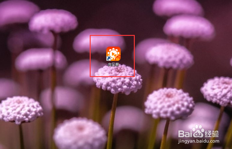 远程办公软件向日葵如何关闭开机时自动启动?