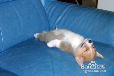 如何通过睡觉提高训练效果