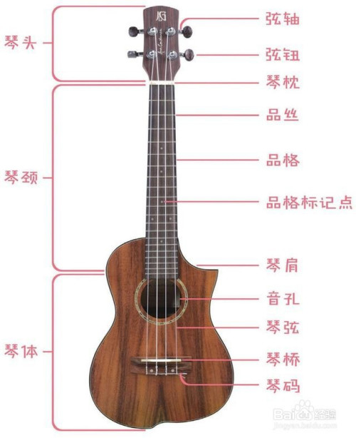 教你认识尤克里里-入门