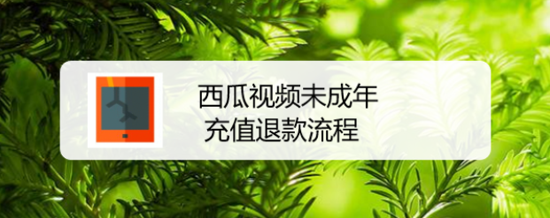 西瓜视频未成年充值退款流程