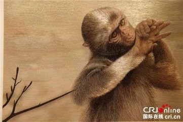 为什么苗绣被称为“穿在身上的史书”?