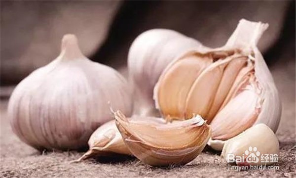 大蒜不适宜哪些食品同食，不适宜哪些人群