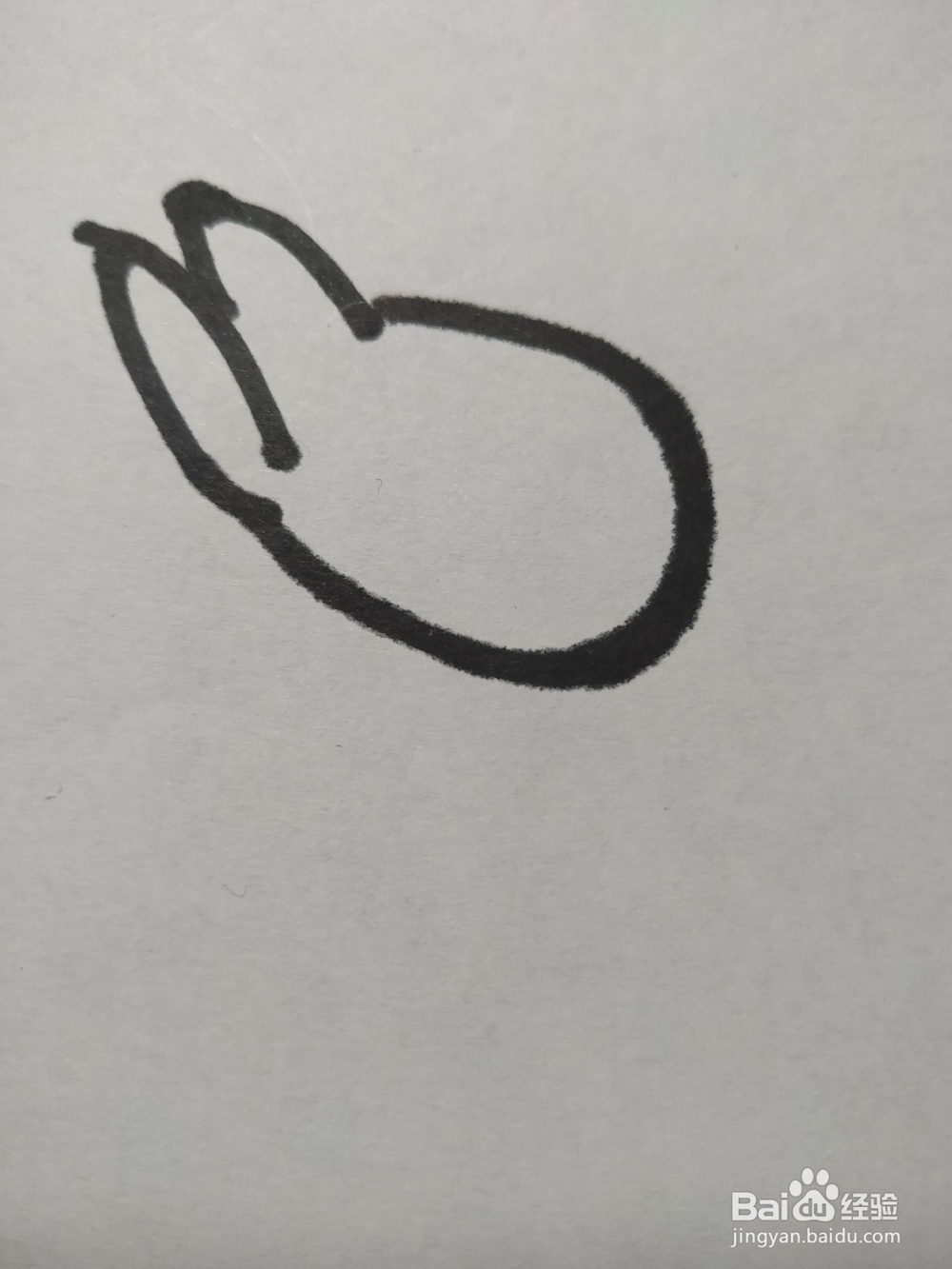 毛驴的简笔画技法八