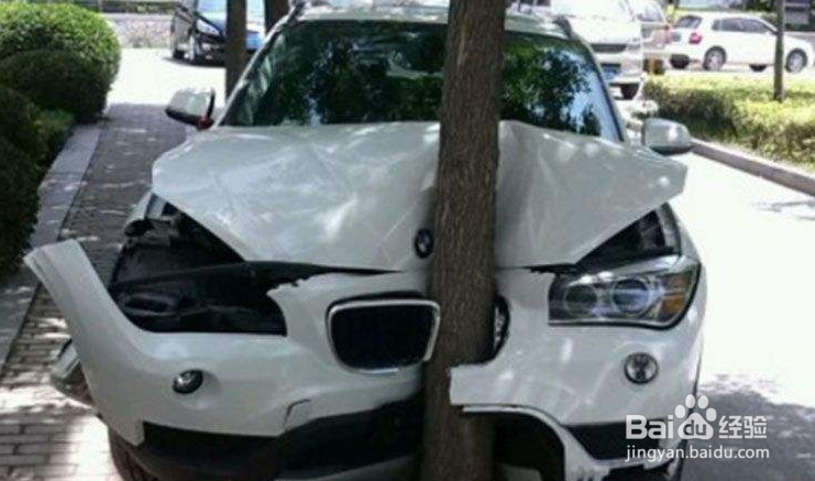 车撞树上怎么走保险