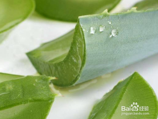 芦荟有哪些好处和坏处