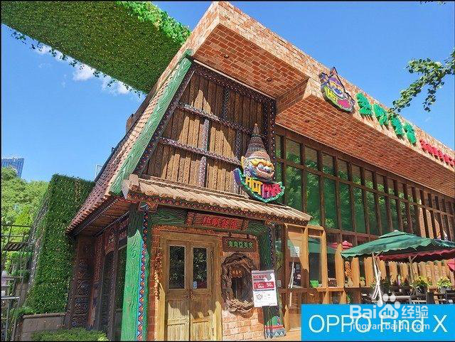 vivonex双屏版和oppofindx哪个好