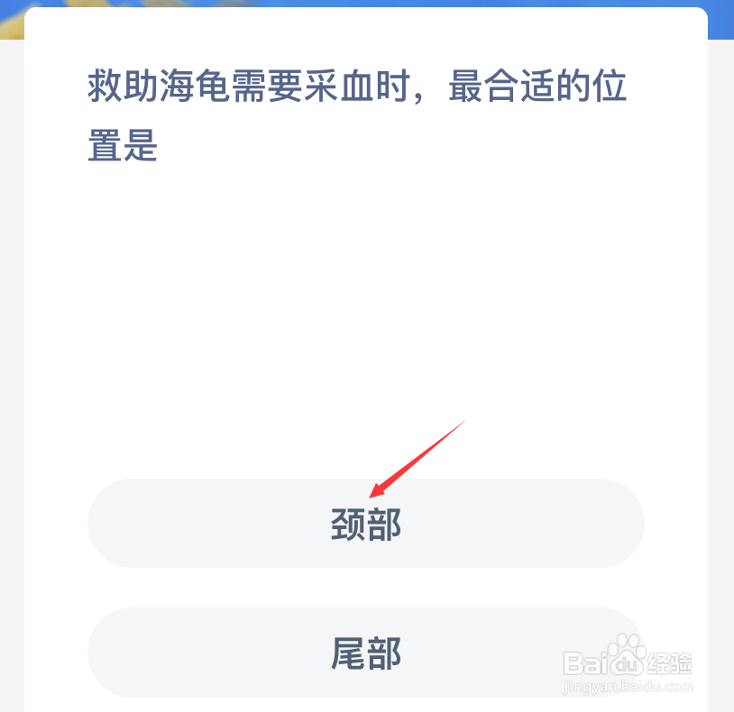 神奇海洋救助海龟需要采血时最合适的位置是