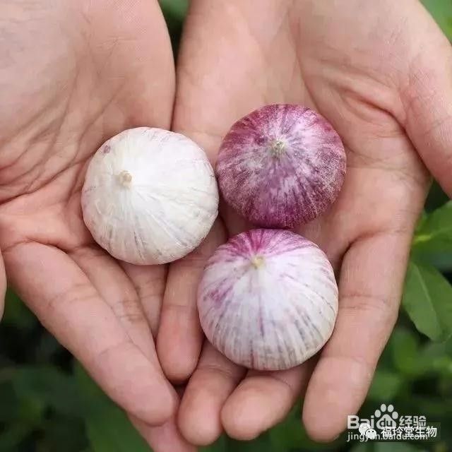 六个小知识帮助你改善血液循环