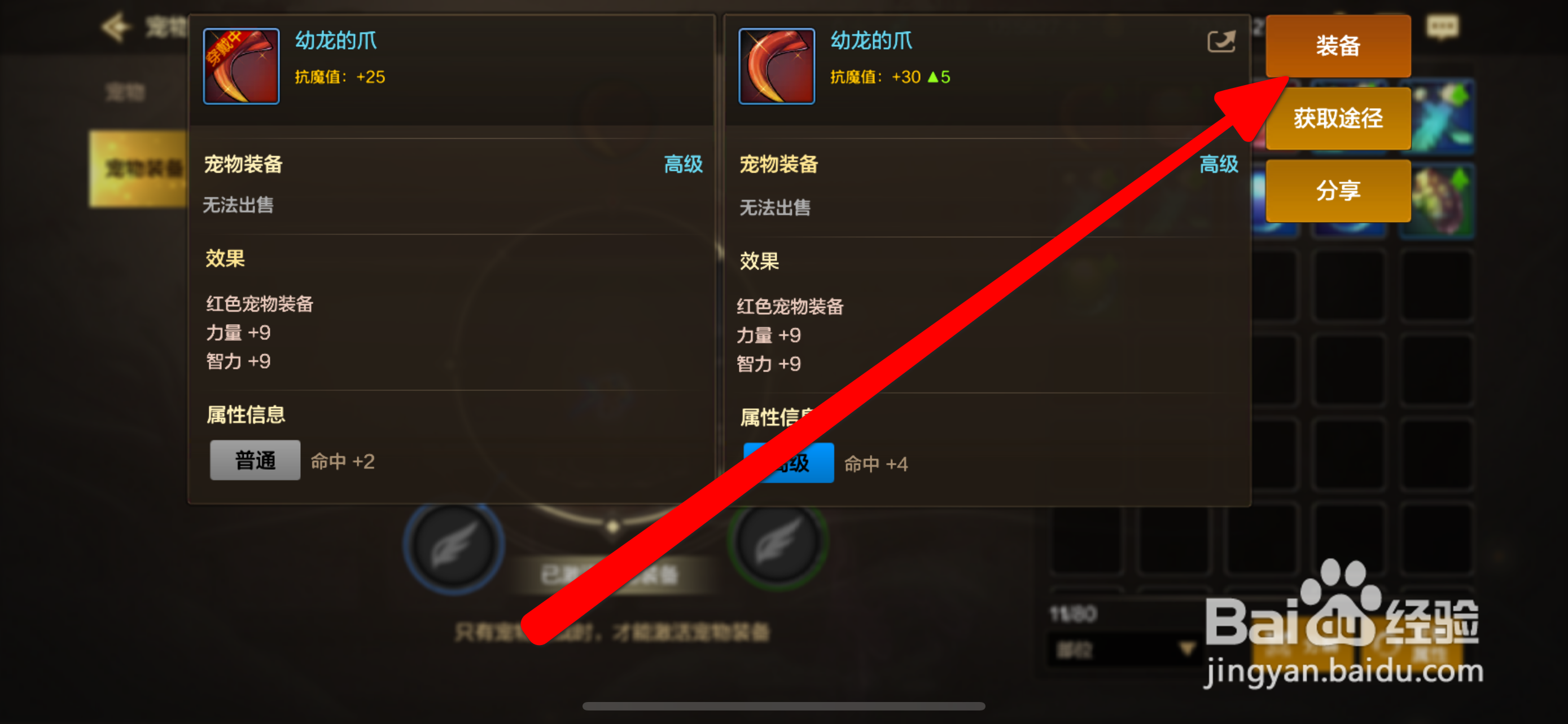 DNF手游宠物装备佩戴攻略