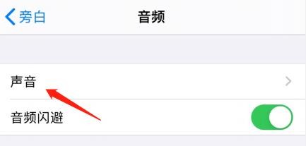怎么开启iPhone旁白中的声音