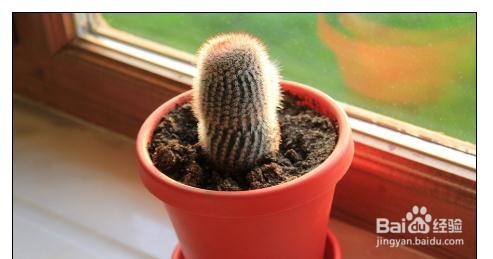 如何减少笔记本电脑辐射