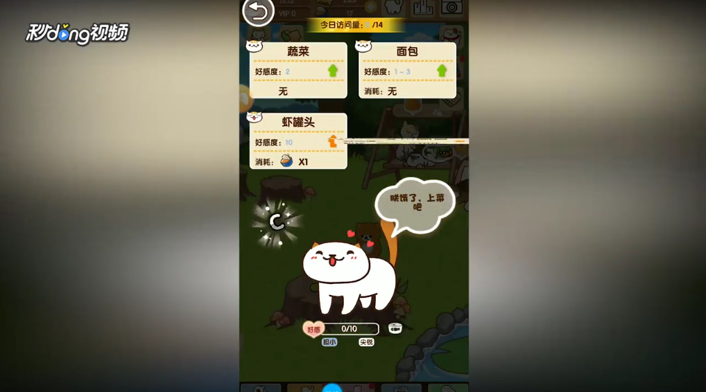 猫咪挂机如何对宠物猫咪喂食