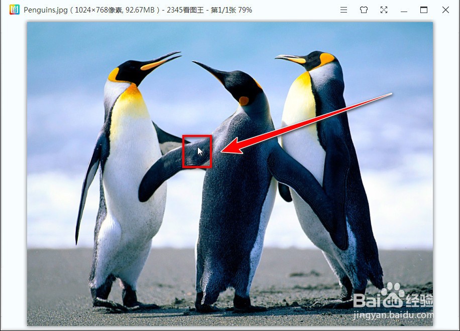 2345看图王怎么保存旋转图片