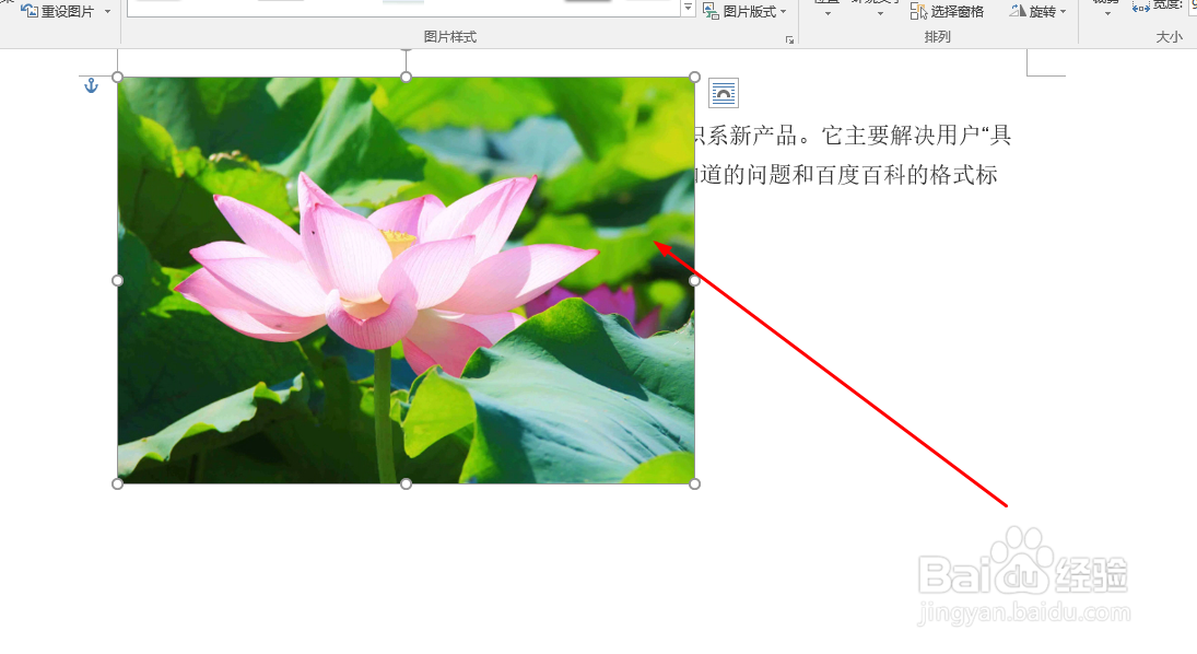 Word中如何设置图片排版样式