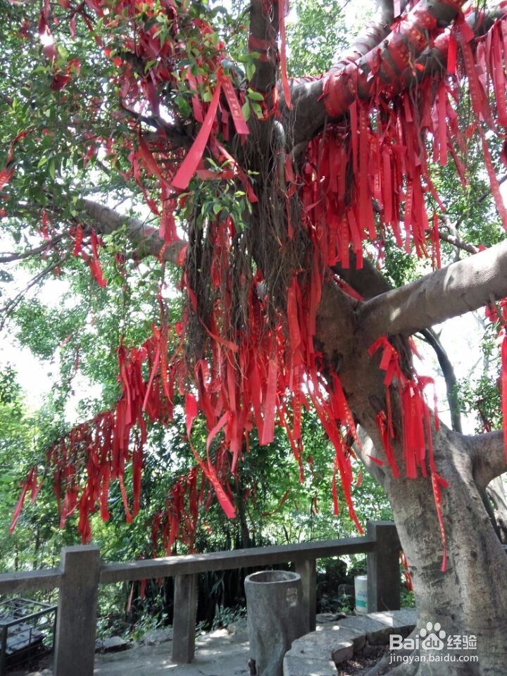 漳州云洞岩一日游