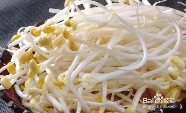 海带清炒黄豆芽