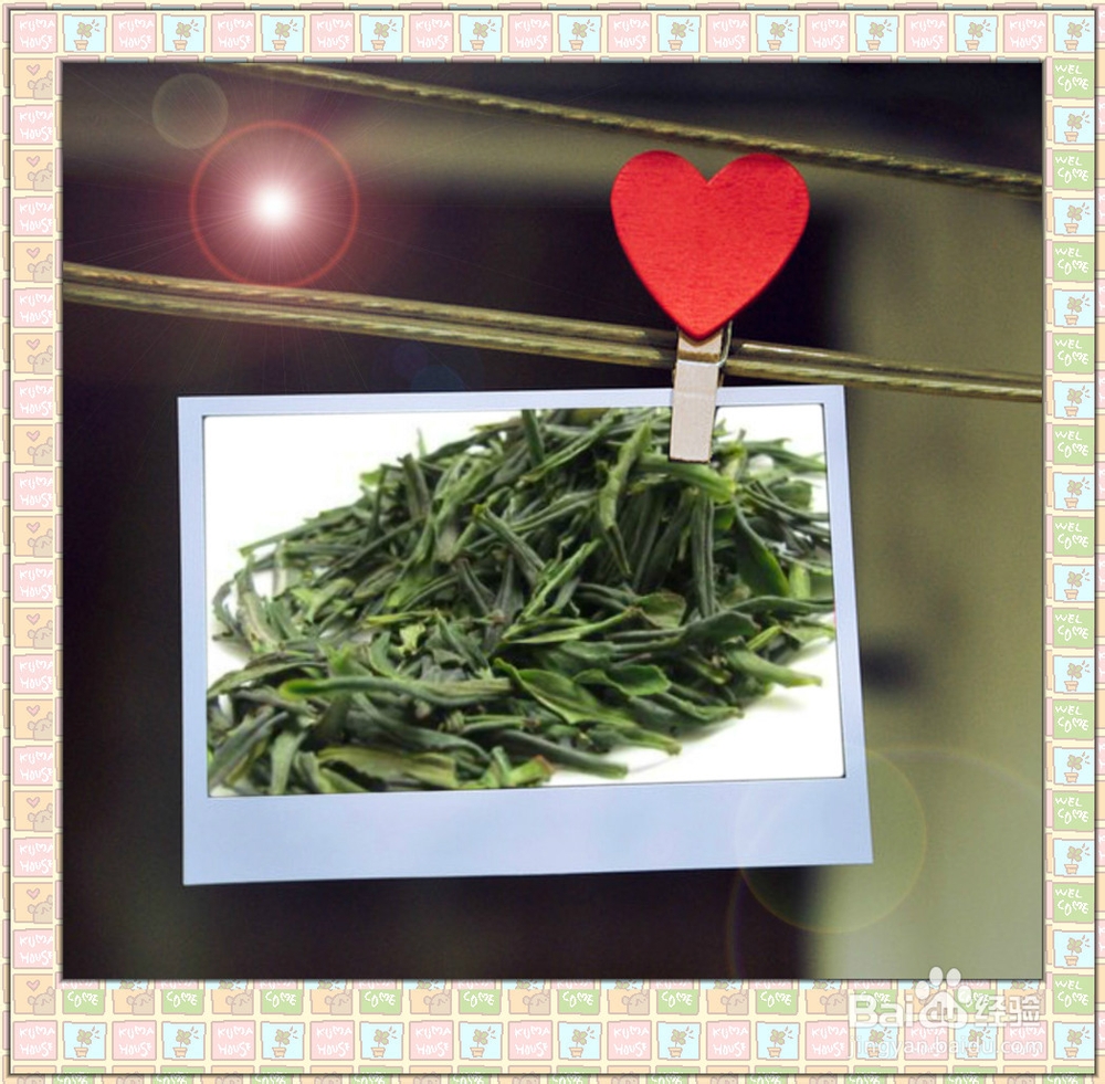 哪些食物具有防癌功效