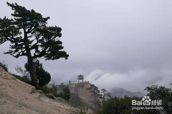 四川广安出发陕西西安（华山）经济四日游