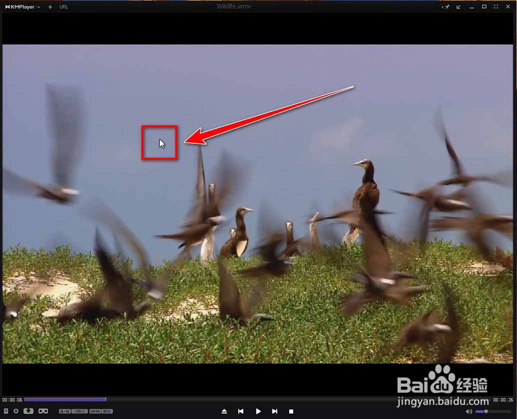 KMPlayer如何选择声道