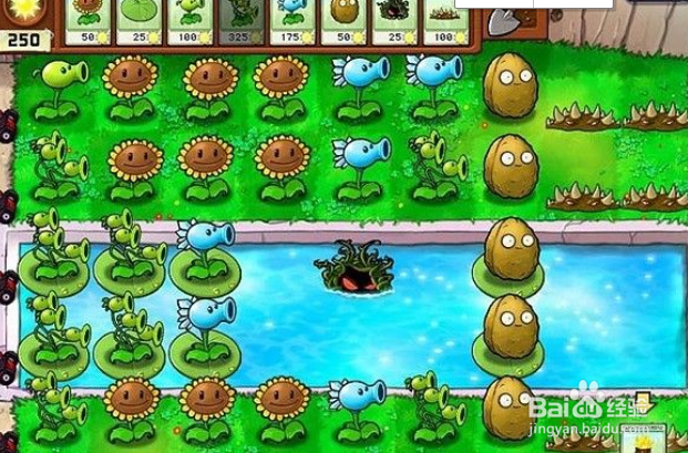 植物大战僵尸泳池7-9关攻略