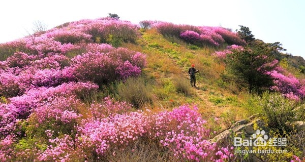 哈尔滨周边登山旅游有哪些进来看看各种山