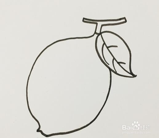 柠檬的简笔画