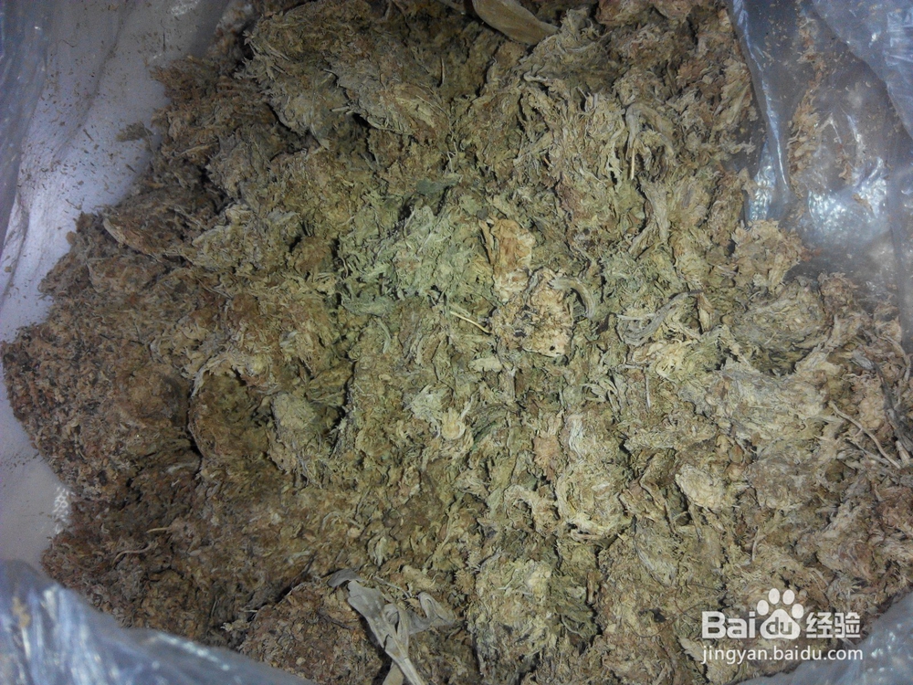 蝴蝶兰换土要提前准备